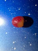 Barbie vintage appel van was, Ophalen of Verzenden, Accessoires