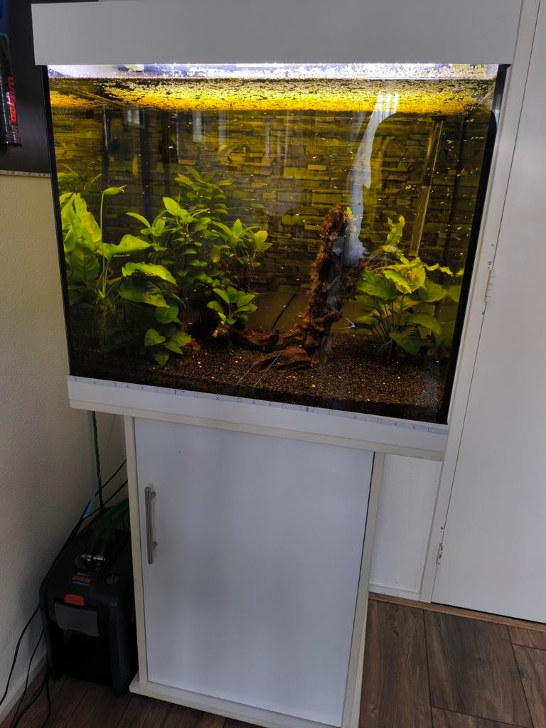 Aquarium Lido 200 met buitenfilter, Ophalen of Verzenden, Gebruikt, Leeg aquarium