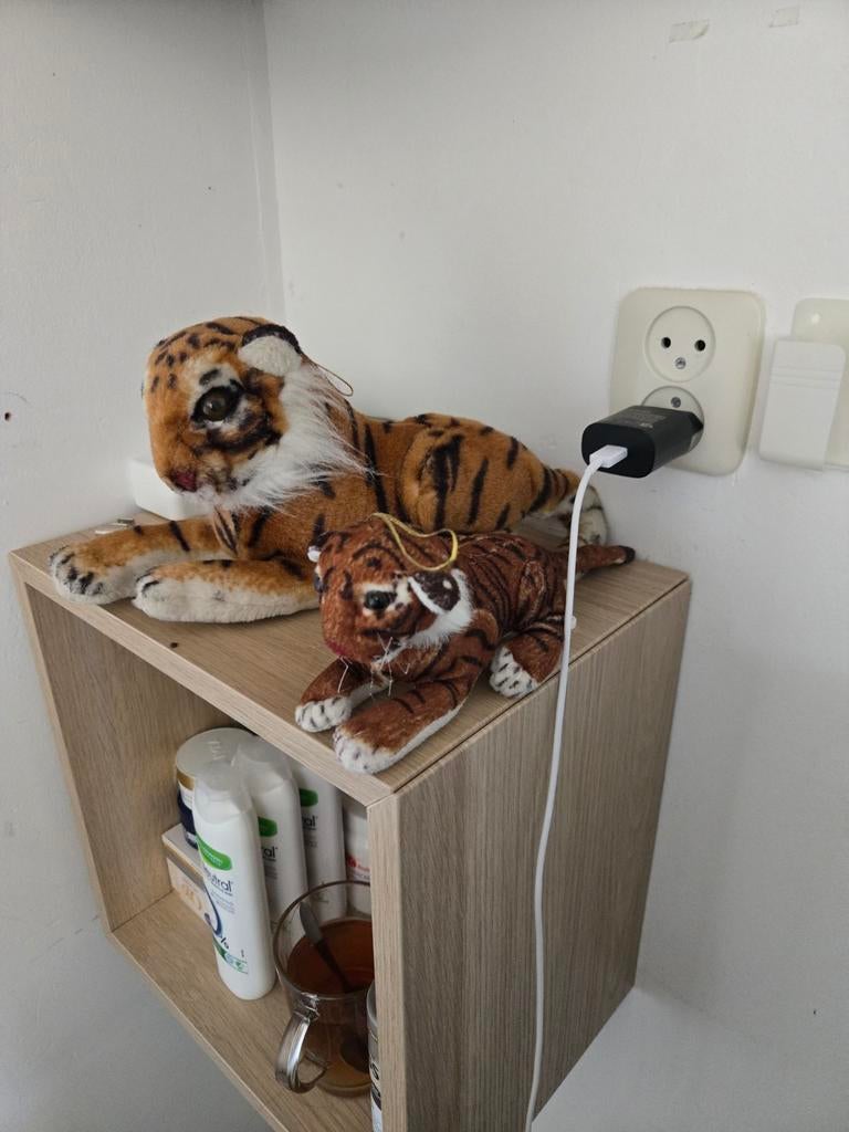 Gezocht  Grote tijger knuffel met gesloten mond prijs notk, Kinderen en Baby's, Speelgoed | Knuffels en Pluche, Ophalen of Verzenden