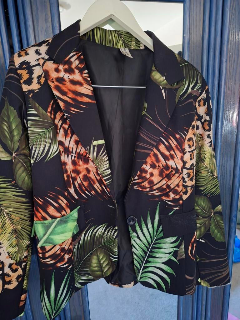 Blazer, Ophalen of Verzenden, Zo goed als nieuw