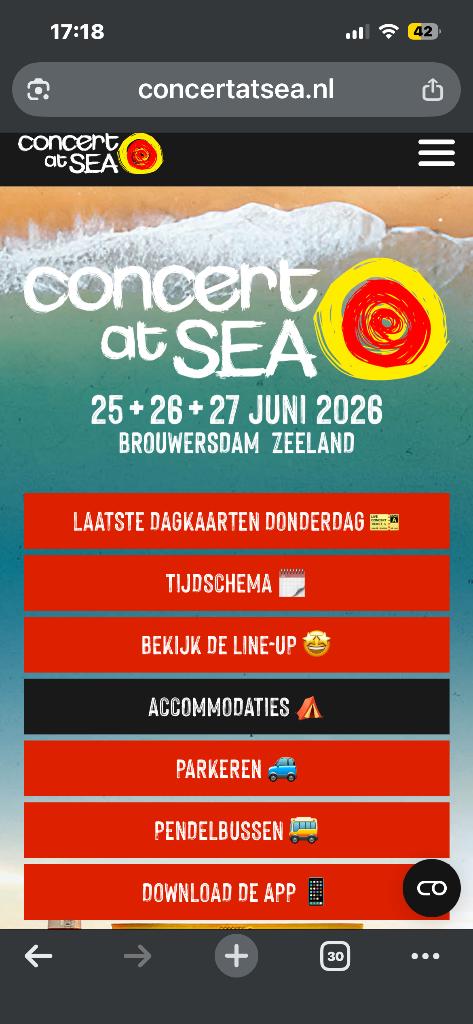 Concert at Sea  ticket te koop gevraagd, Tickets en Kaartjes, Eén persoon