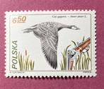 Polen postfris 142 => Vogels - Grauwe Gans, Verzenden, Postfris, Dier of Natuur