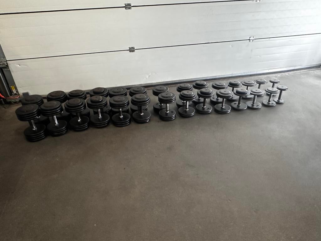 4 t/m 34kg Vaste Gijzeren Dumbells, Ophalen, Gebruikt, Dumbbell