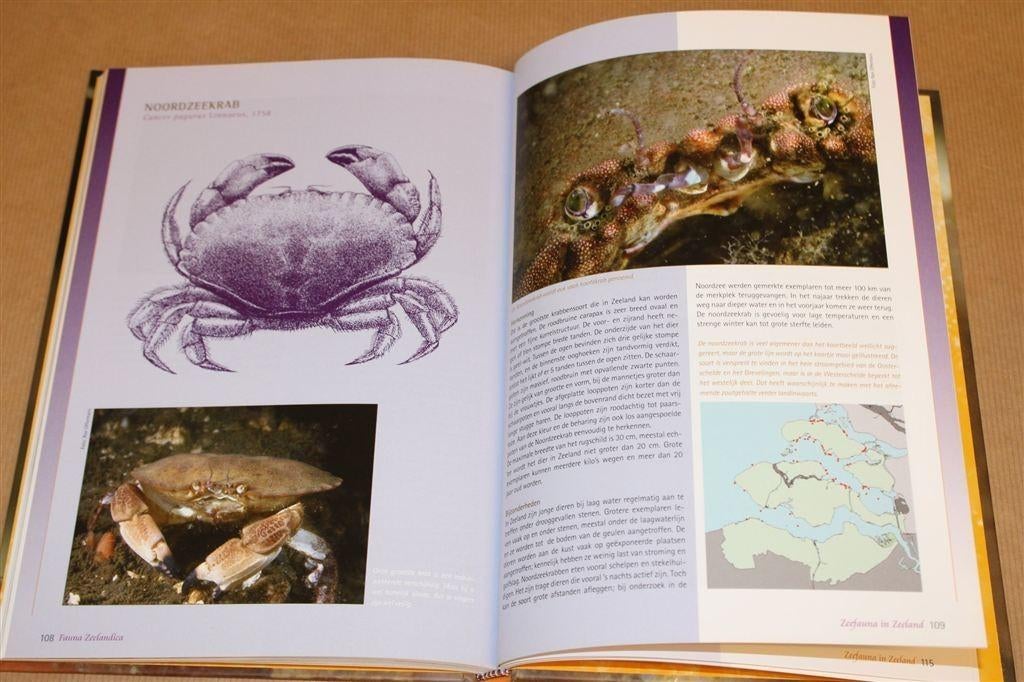 Kreeften, Krabben & Garnalen in Zeeland — Veldgids, Boeken, Ophalen of Verzenden, Zo goed als nieuw, Overige diersoorten