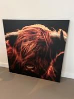 Canvas schotse hooglander xl afhaal €10,-, Ophalen, Schilderij, 75 cm of meer
