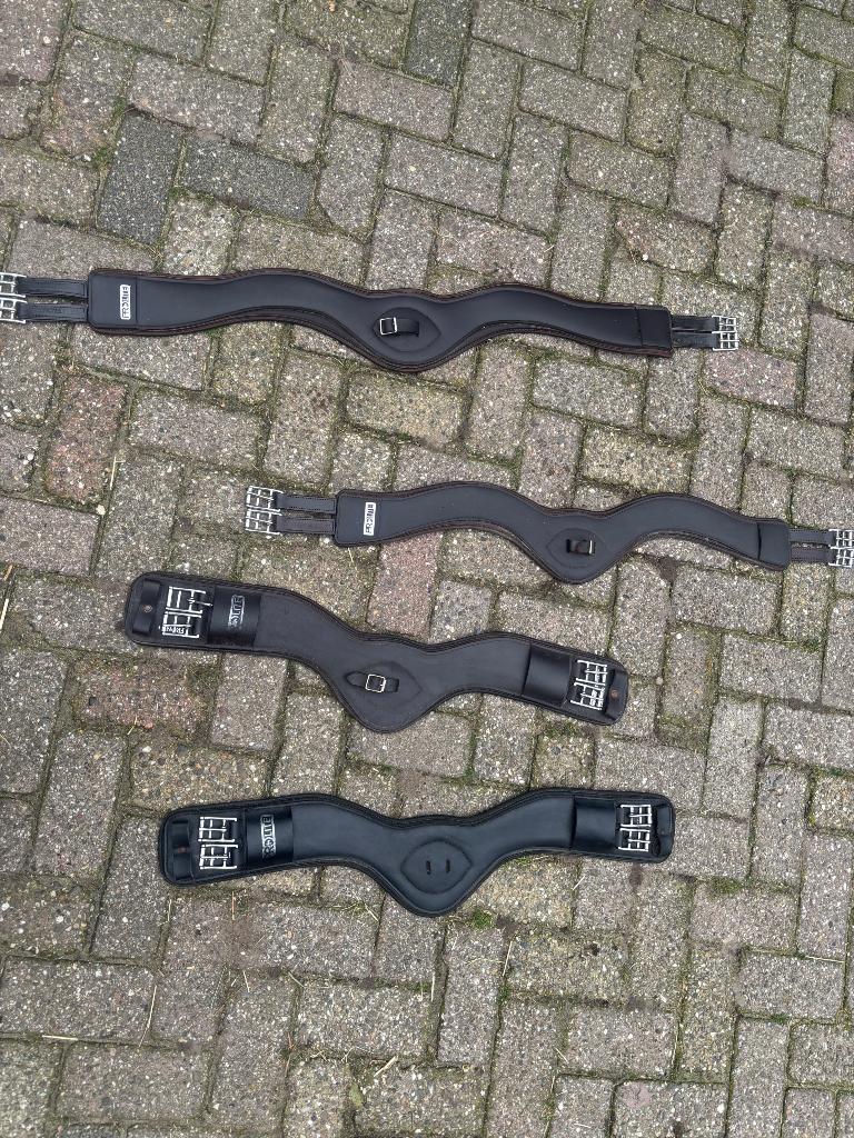 Mooie Prolite singels te koop!, Dieren en Toebehoren, Ophalen of Verzenden, Zo goed als nieuw, Overige soorten