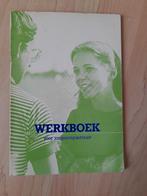 WERKBOEK VOOR JONGERENPASTORAAT Maarten Faas, Ophalen of Verzenden, Gelezen