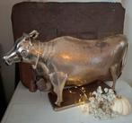 Prachtige koe., Ophalen of Verzenden