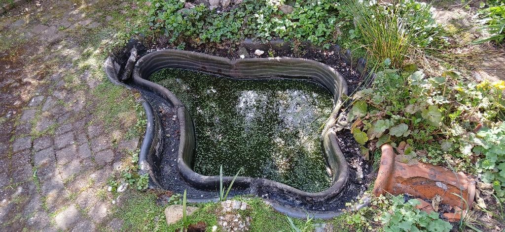 vijverbak, Tuin en Terras, Vijvers, Ophalen, Gebruikt