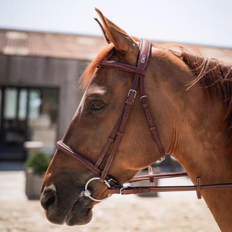 CWD Singels, Teugels, Hoofdstel, Borsttuig, Martingaal, Dieren en Toebehoren, Paarden en Pony's | Hoofdstellen en Tuigage, Nieuw