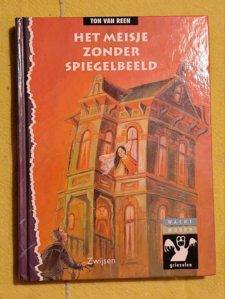 Ton van Reen - Het meisje zonder spiegelbeeld, Ophalen of Verzenden, Zo goed als nieuw, Fictie, Ton van Reen