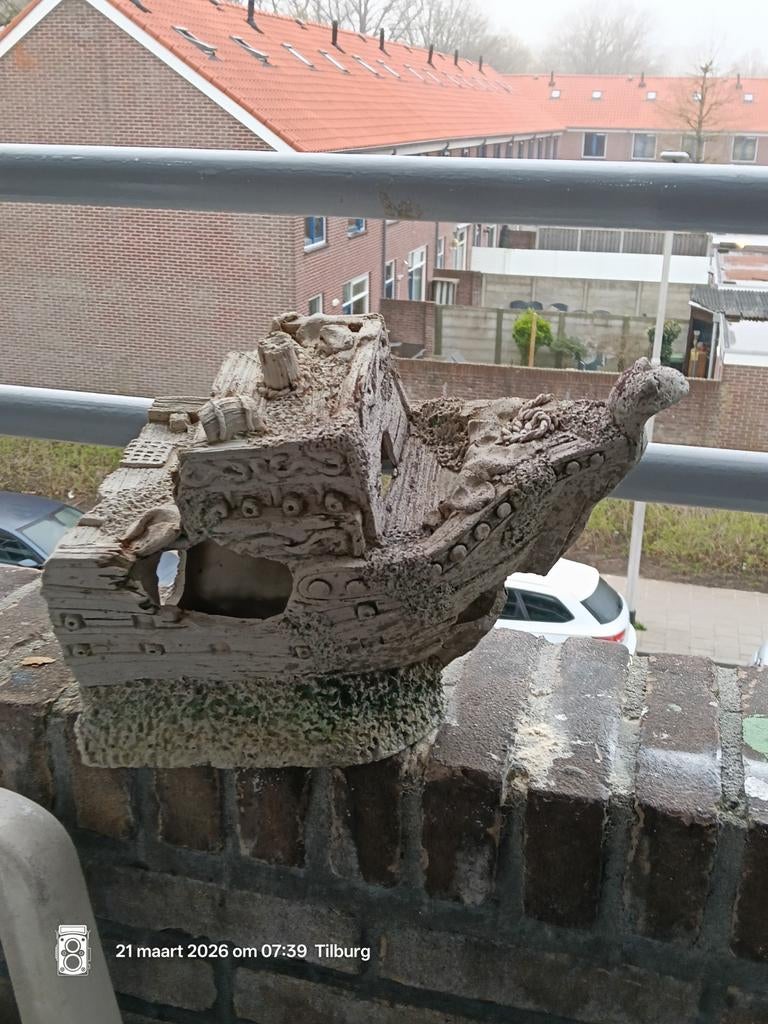 Schip, Ophalen of Verzenden, Plant(en), Steen of Hout