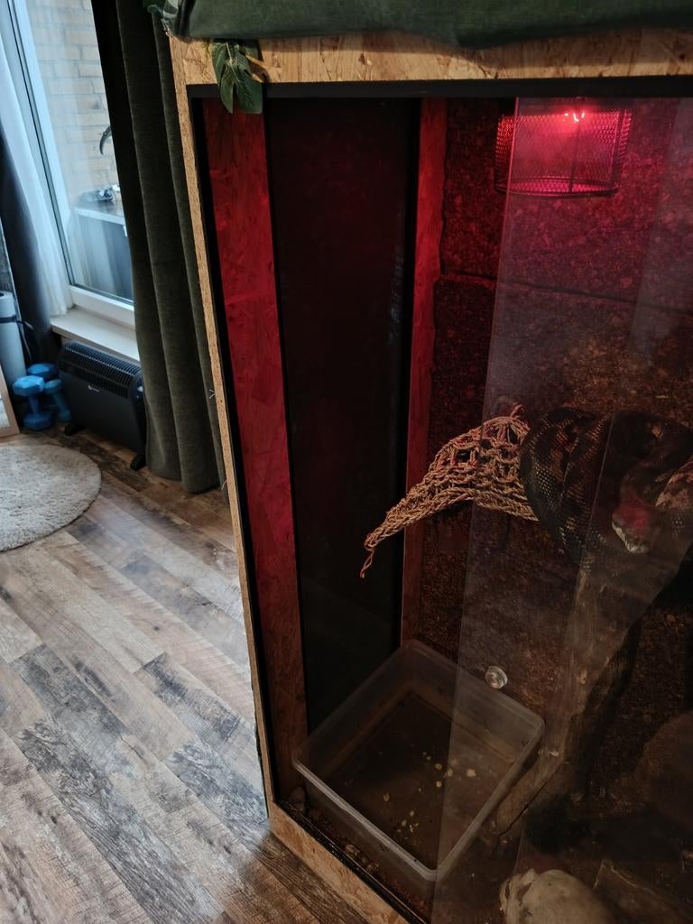 Tapijtpyton puls terrarium te koop!, Ophalen, Gebruikt