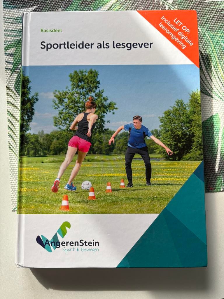 Sportleider als lesgever / sport- en bewegen MBO, Boeken, Ophalen of Verzenden, Zo goed als nieuw, Overige niveaus