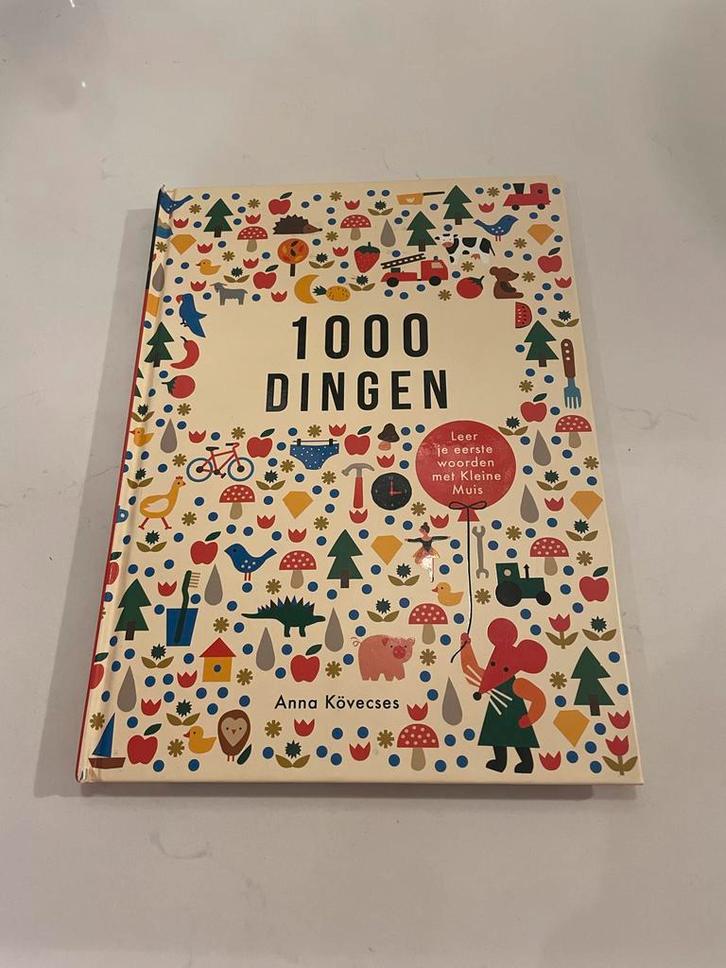 Kinderleesboek 1000 Dingen, Boeken, Kinderboeken | Baby's en Peuters, Zo goed als nieuw, 2 tot 3 jaar, Ophalen of Verzenden