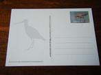 T36 - Nederland - Vogel - Rosse Grutto - Speciale kaart, Postzegels en Munten, Ophalen of Verzenden