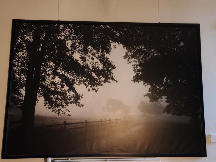 Groot IKEA Schilderij / Foto - Natuurlandschap, Huis en Inrichting, Woonaccessoires | Schilderijen, Tekeningen en Foto's, Zo goed als nieuw