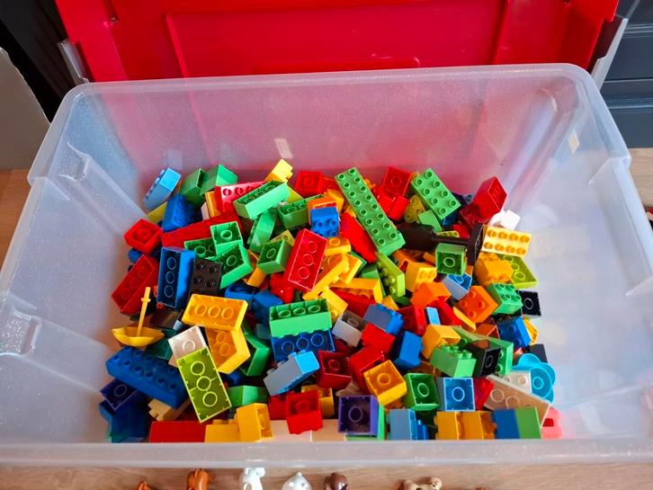 Grote partij Duplo stenen + accessoires, Kinderen en Baby's, Speelgoed | Duplo en Lego, Gebruikt, Duplo, Losse stenen, Ophalen