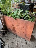 Plantenbak cortenstaal, Ophalen, Tuin, Gebruikt, 100 cm of meer