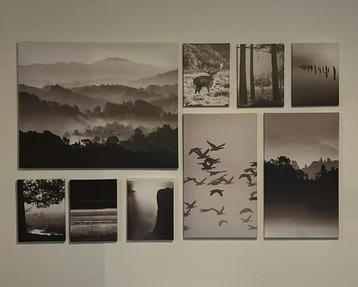 Ikes PJÄTTERYD Canvas Set van 9 Wanddecoratie