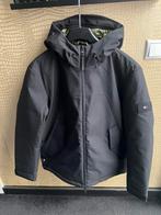 Tommy Hilfiger Tech Padded Hooded Winterjas L NIEUW, Kleding | Heren, Jassen | Winter, Ophalen of Verzenden, Nieuw, Zwart