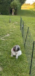 Hondennet 25 meter met extra palen, Dieren en Toebehoren, Ophalen of Verzenden, Zo goed als nieuw