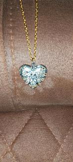 Prachtige ketting met sieraden doosje, Sieraden, Tassen en Uiterlijk, Kettingen, Overige materialen, Nieuw, Ophalen of Verzenden