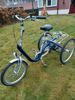 VAN RAAM.  DRIEWIELFIETS.  alles werkt goed., Fietsen en Brommers, Ophalen, Zo goed als nieuw