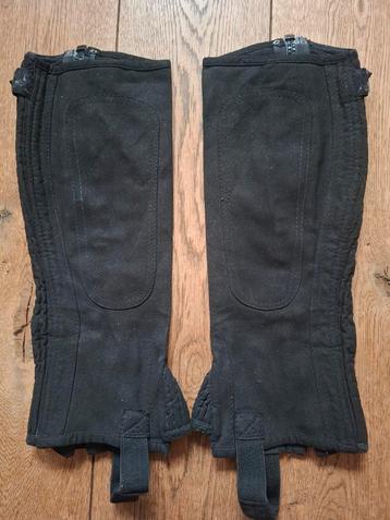 Chaps Epplejeck M. beschikbaar voor biedingen