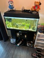 Nette juwel aqarium 80cm lang 35 hoog, Dieren en Toebehoren, Vissen | Aquariumvissen, Zoetwatervis, Schoolvis, Overige typen