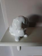 Teckel, Ophalen of Verzenden, Zo goed als nieuw, Dier