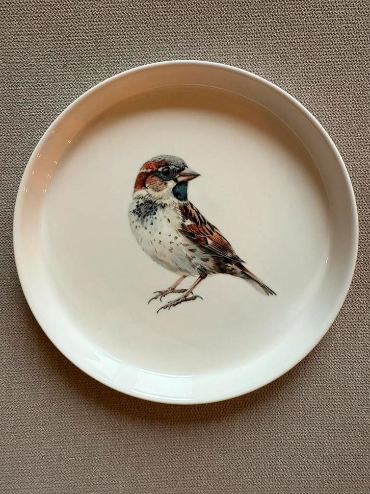 Nieuw Magnifique porseleinen bord met mus, Verzamelen, Porselein, Kristal en Bestek, Nieuw, Ophalen of Verzenden