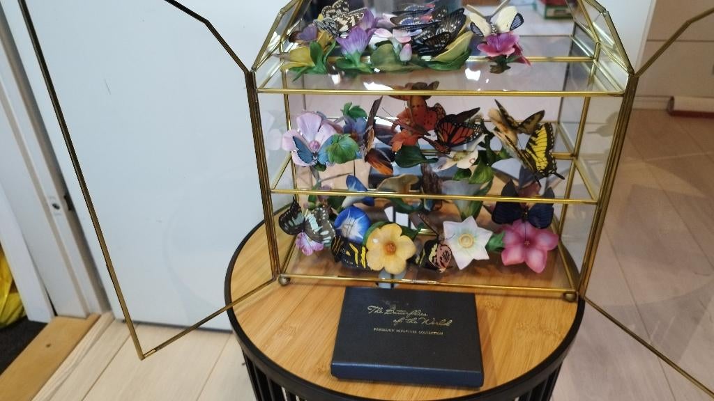 Butterflies of the world, Verzamelen, Dierenverzamelingen, Ophalen, Zo goed als nieuw, Insect, Beeldje of Figuurtje