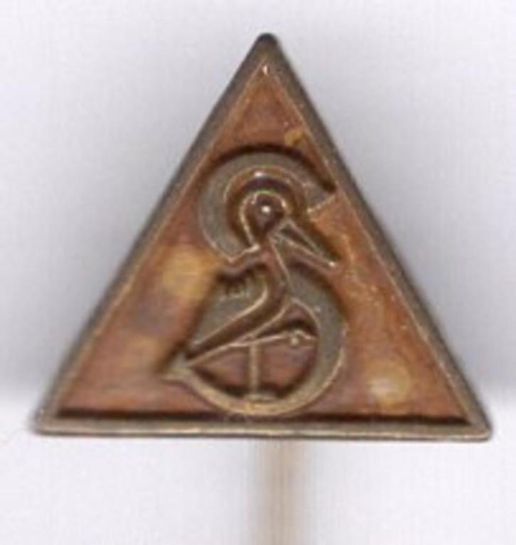 Machinefabriek Stork koper speldje ( U_472a ), Verzamelen, Speldjes, Pins en Buttons, Zo goed als nieuw, Speldje of Pin, Transport