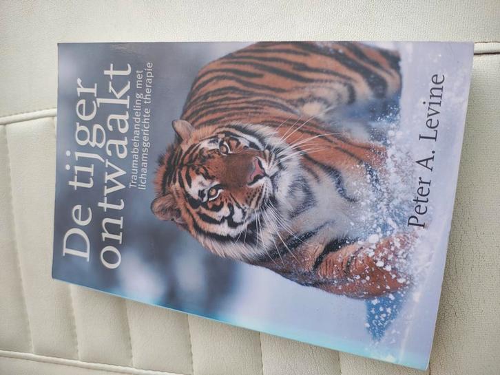 De tijger ontwaakt, Boeken, Psychologie, Gelezen, Ophalen of Verzenden