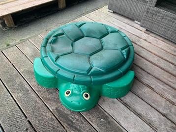 Zandbak schildpad beschikbaar voor biedingen