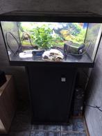 Kompleet Eheim aquarium + LED verlichting, Ophalen, Zo goed als nieuw, Leeg aquarium