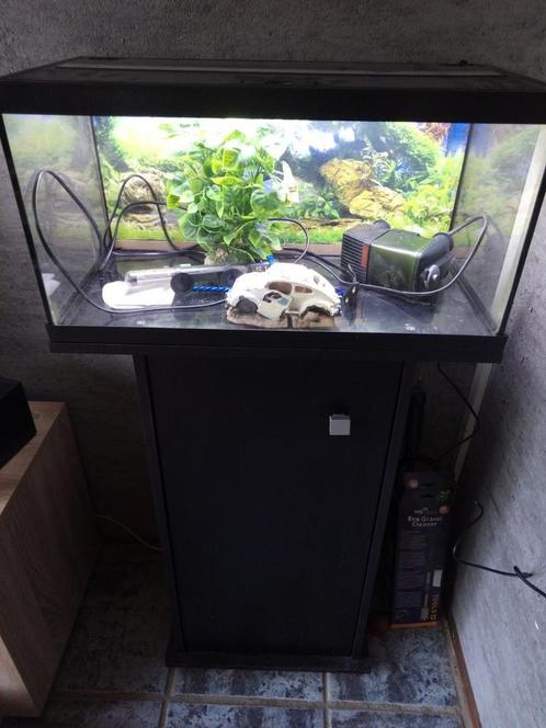 Kompleet Eheim aquarium + LED verlichting, Dieren en Toebehoren, Vissen | Aquaria en Toebehoren, Zo goed als nieuw, Leeg aquarium
