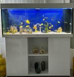 Juwel aquarium 121cm wit, Zo goed als nieuw, Ophalen, Leeg aquarium