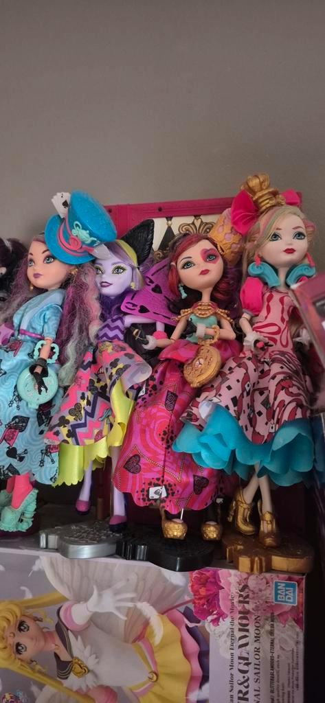Ever After High Poppen Set wonderland, Kinderen en Baby's, Speelgoed | Poppen, Zo goed als nieuw, Barbie, Ophalen of Verzenden