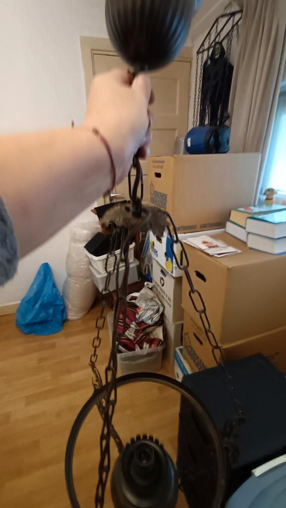 Antieke Hanglamp met Ketting, Huis en Inrichting, Lampen | Hanglampen, Gebruikt, 50 tot 75 cm, Metaal, Ophalen of Verzenden