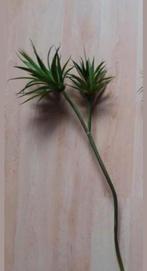 Te koop: 1 kunsttak Aloe Vera - Lengte 65 cm, Ophalen, Zo goed als nieuw, Binnen