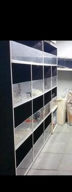 Cavia flat betonplex, Dieren en Toebehoren, Ophalen, 110 cm of meer, 90 cm of meer, Hok