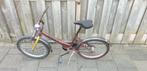 Rodex 20 inch fiets, Fietsen en Brommers, Fietsen | Kinderfietsjes, Ophalen, Gebruikt, 20 inch of meer