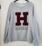 Grijze H&M dames sweater maat XL .h, Gedragen, Grijs, H&M, Ophalen of Verzenden