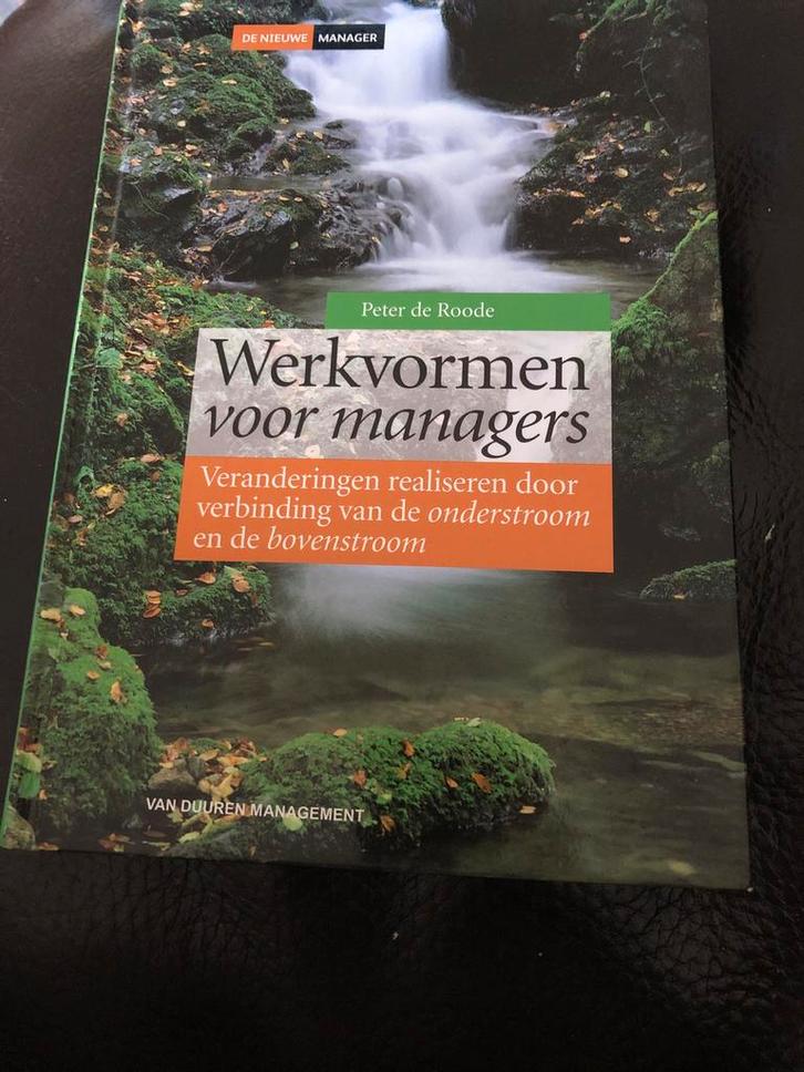 Werkvormen voor managers - Peter de Roode, Boeken, Economie, Management en Marketing, Zo goed als nieuw, Management, Ophalen of Verzenden