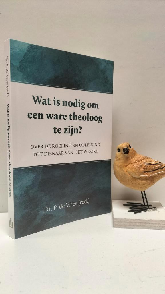 Vries, Dr. P. de; Wat is nodig om een ware theoloog te zijn, Boeken, Godsdienst en Theologie, Gelezen, Christendom | Protestants