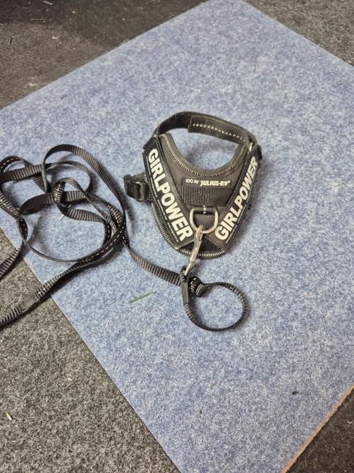 Originele JULIUS-K9 hondentuig – maat Small + riem, Dieren en Toebehoren, Hondenriemen, Nieuw, Ophalen