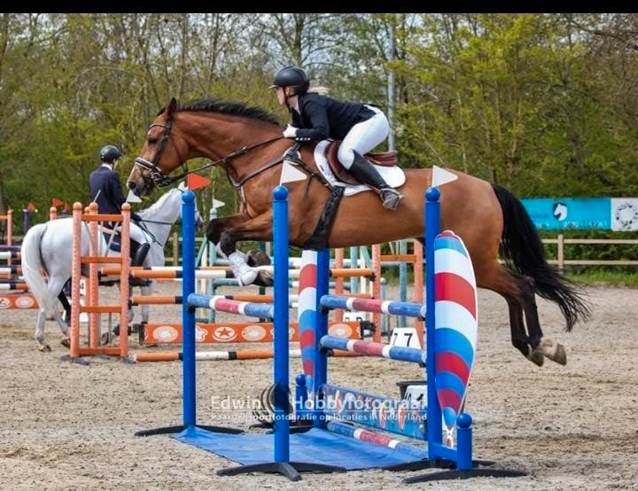 Zadelmak maken doorrijden verkoopbemiddeling, Diensten en Vakmensen, Dieren | Paarden | Verzorging, Oppas en Les