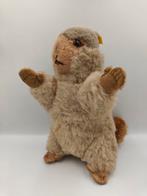 Vintage Steiff Marmot Molly Piff inclusief knop en label, Antiek en Kunst, Antiek | Speelgoed, Ophalen of Verzenden